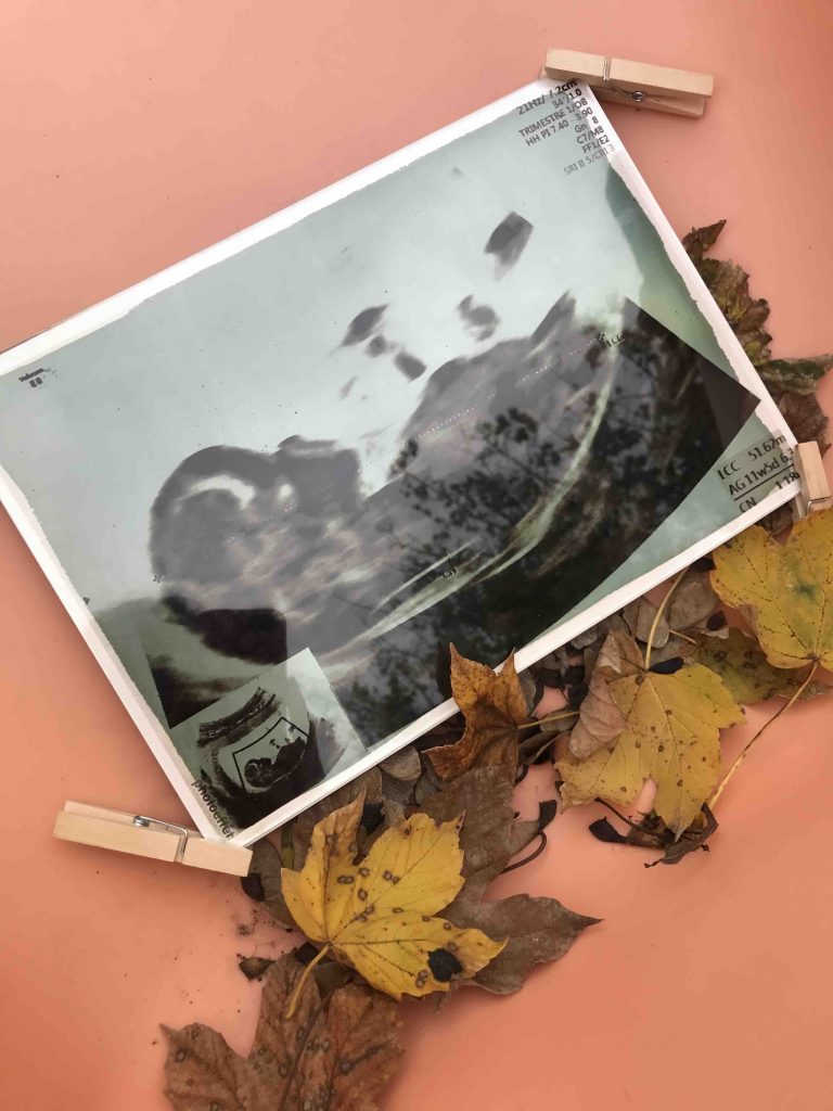 echographie cyanotype cyrielle grassi