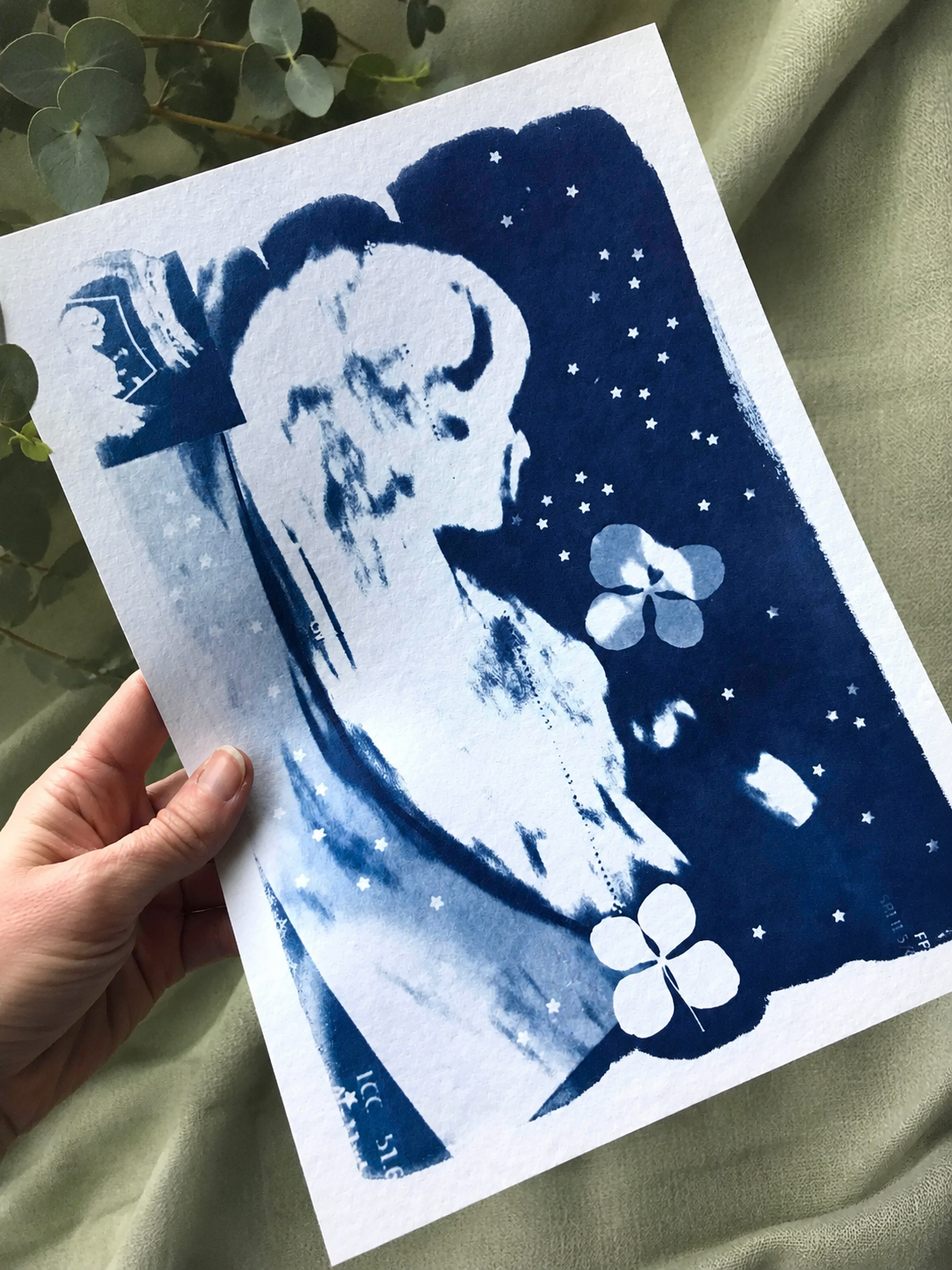 echographie cyanotype bébé cyrielle grassi