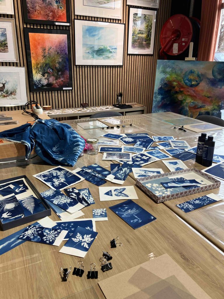 atelier cyanotype artéis aubière cyrielle grassi