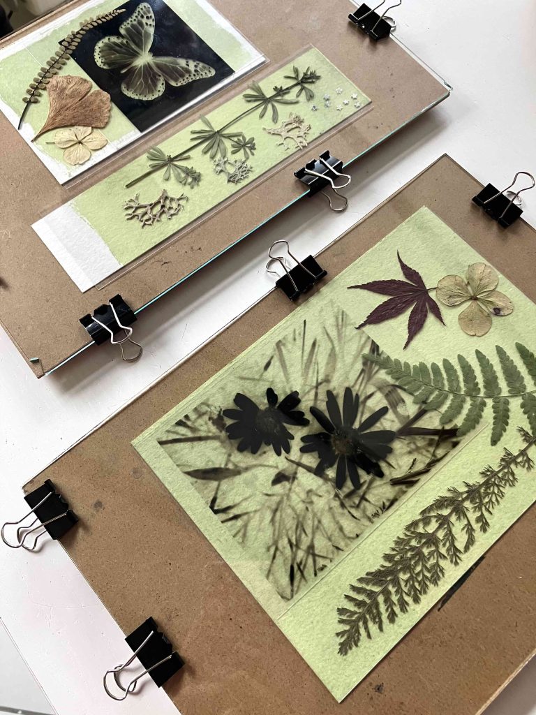 atelier cyanotype auvergne cyrielle grassi